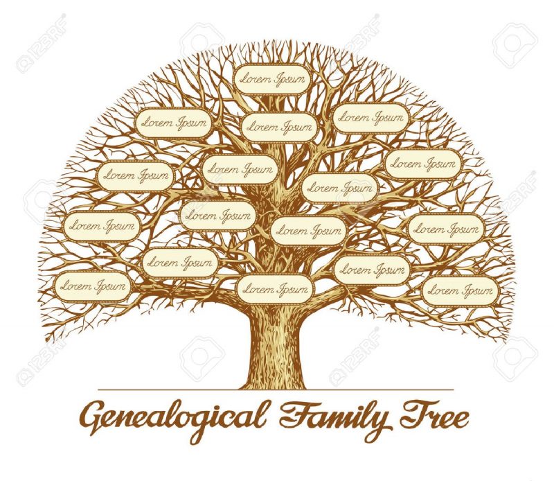 ميديا ارابيا شجرة العائلات المصرية ميديا ارابيا شجرة العائلات